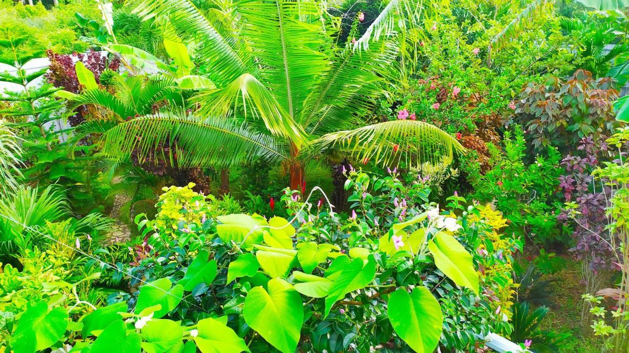Villa Modara Tangalle Exteriör bild
