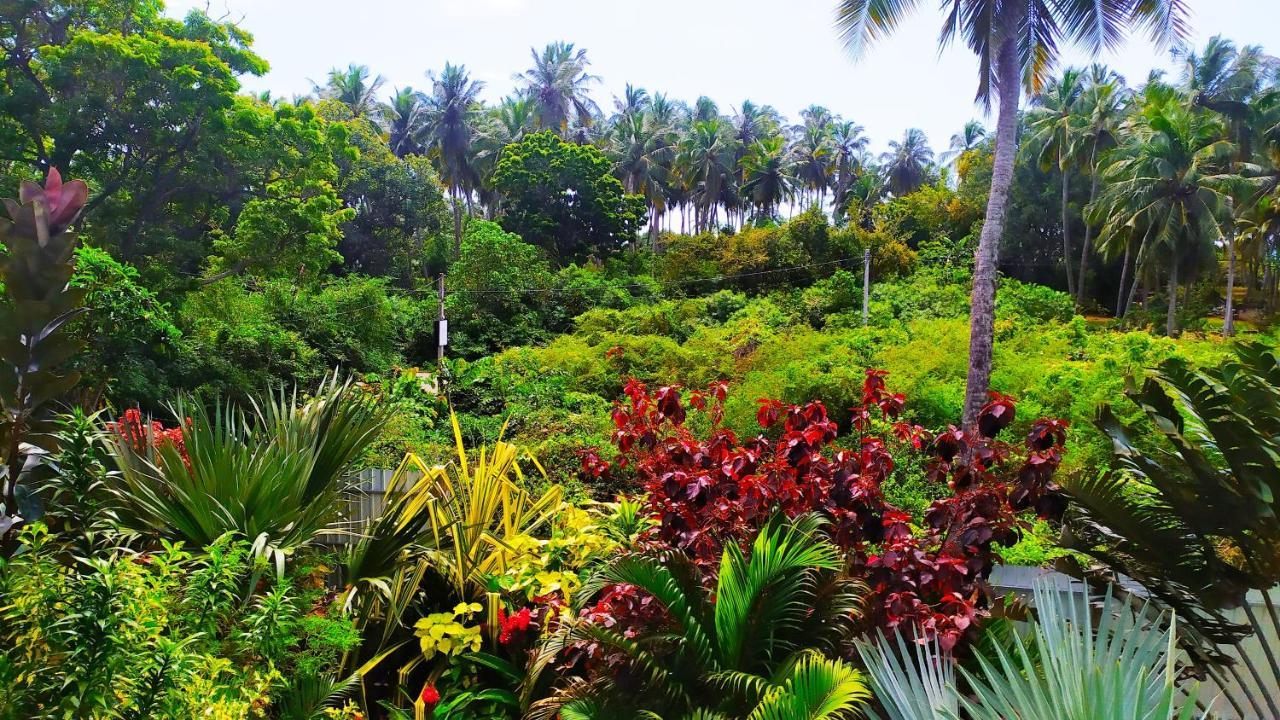 Villa Modara Tangalle Exteriör bild