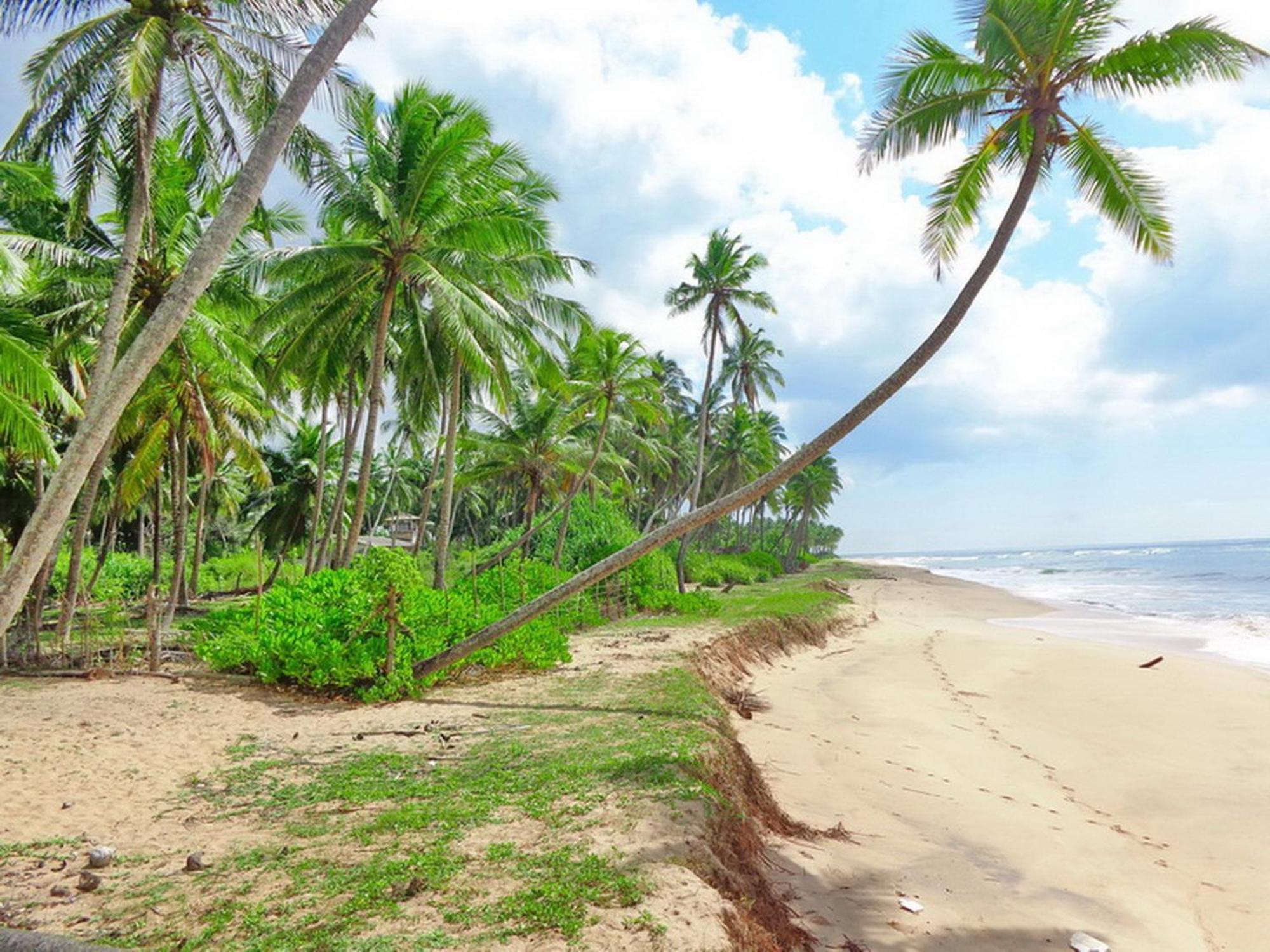 Villa Modara Tangalle Exteriör bild